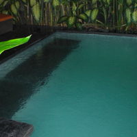 入口を入るとプールがあります。欧米の女性が利用していました。