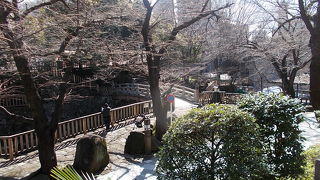 石神井川の一部です。