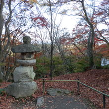 地面には分厚く落ち葉がたまっていた。