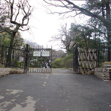 入り口の景観です。