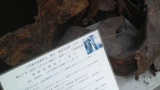 不発弾の一部など意外な見どころも