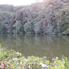 静寂さが漂う小倉池。