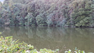 京都嵯峨にある、小倉池