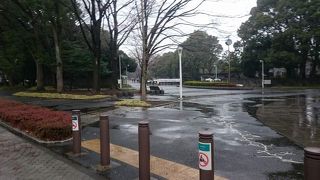 広大で緑の多い公園