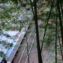 眼下に嵯峨野観光線のトロッコ嵐山駅が見えます。