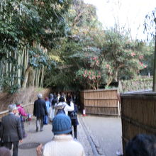 竹林の道は行き交う人々で混雑していました。