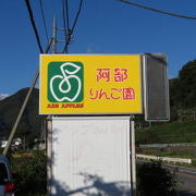 格安でリンゴ狩りが」