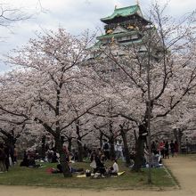 西の丸庭園にて