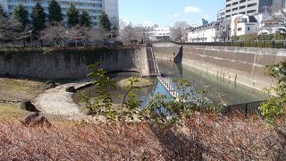 石神井川の緑地です。
