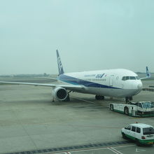 この飛行機で成田まで帰ります。