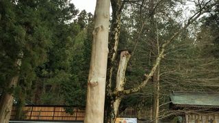 御柱で有名な本宮を訪れました。