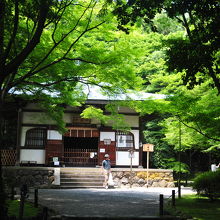 鮮やかな緑だった