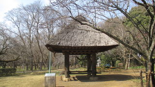 出入りは随分と窮屈そうです。