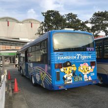 阪神タイガース柄のバスも停車中！