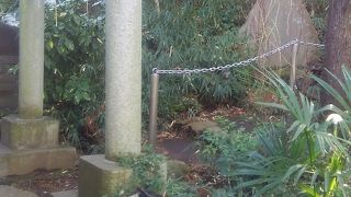 富士塚のある神社