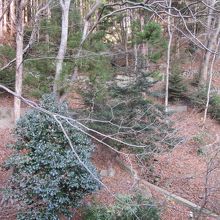 眺望は宿の構造上いまいちです。