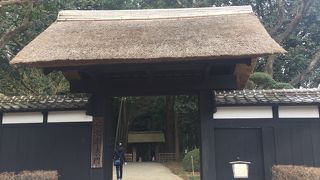 無料の梅の名所