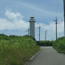 池間湿原からの道より。