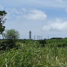 池間湿原からの道より。