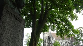 思わず深呼吸したくなる公園