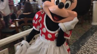 エンチャンテッドガーデン