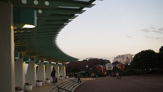 夜景がとても綺麗でした。