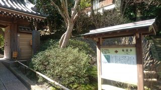 鎌倉にある竹林と椿