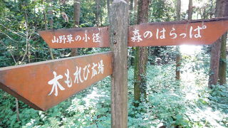 BBQ、ピクニック、トレランの最適スポット