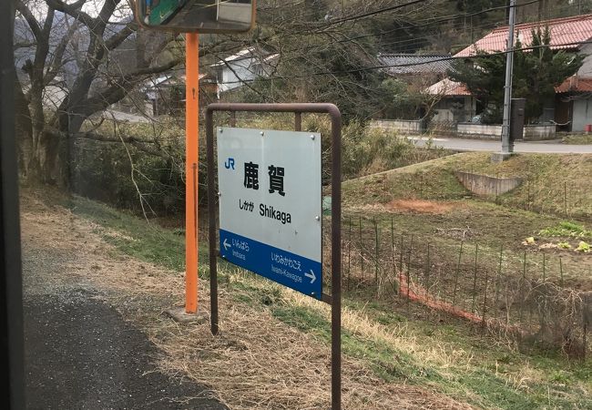 駅はカーブの途中にあるようです。