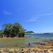 大島のビーチ