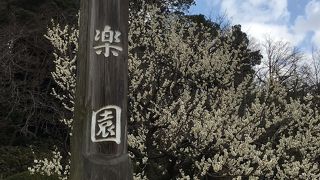 梅の名所です。坂がきつい場所があるので足の悪い人は注意です。
