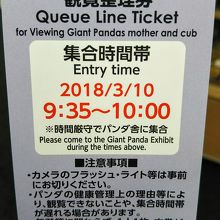 パンダ母子 観覧整理券