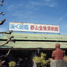 郡山金魚資料館