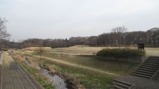 野川にコサギのペアが居ました。