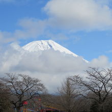 富士の頂上が