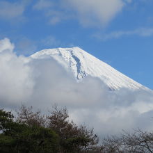 頂上の割れ目がすっきり見える