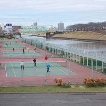 右側が荒川赤羽桜緑地です。