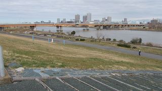 荒川の緑地のひとつです。