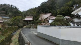 代官所跡からはすぐです