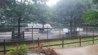 ひっそりとしていました。