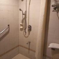 シャワーのみ、トイレとシャワー室と仕切りが無い