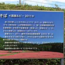 メインの畑の満開状態の立て看板