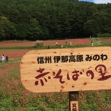 次回は此の看板をバックに満開を狙いたい