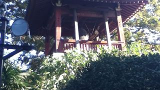 少し高い処にある