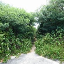 ビーチへの入口。