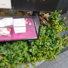 お店の看板
