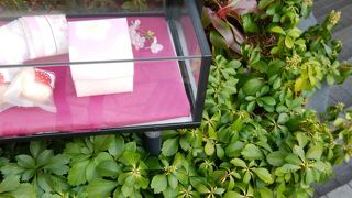 ひっそりとお店あります