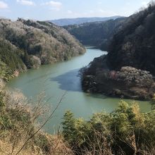 梅と桜の時期がオススメ By Papa 月ヶ瀬湖のクチコミ フォートラベル 梅と桜の時期がオススメ By Papa 月ヶ瀬湖のクチコミ フォートラベル