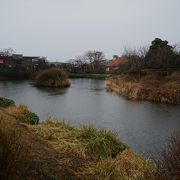 湧水の街、秦野を象徴する場所の一つです