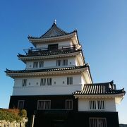 小高い丘の上に立つ天守閣から見る景色はまさに絶景です